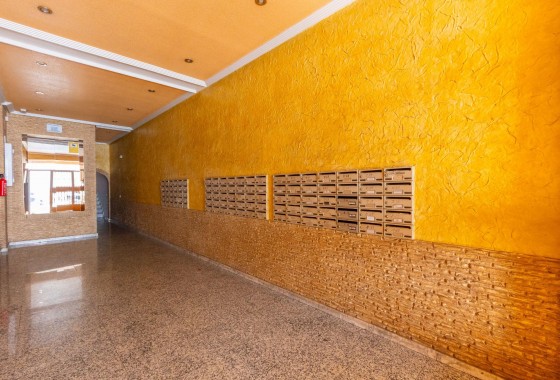 Revente - Studio - Torrevieja - Estacion de autobuses