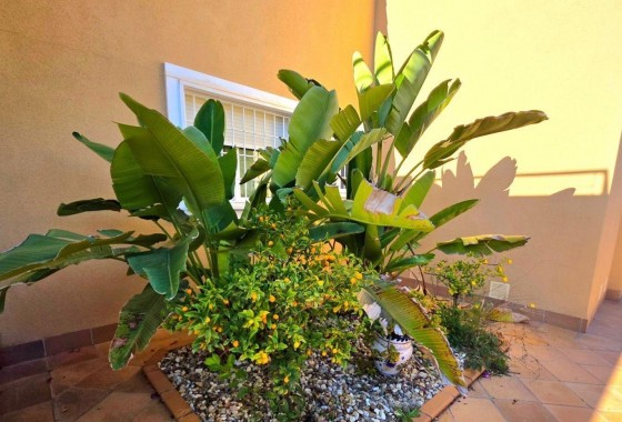 Resale - Detached Villa - Dehesa de Campoamor - Campoamor