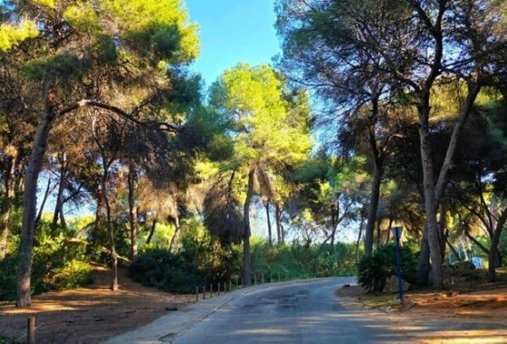 Resale - Detached Villa - Dehesa de Campoamor - Campoamor