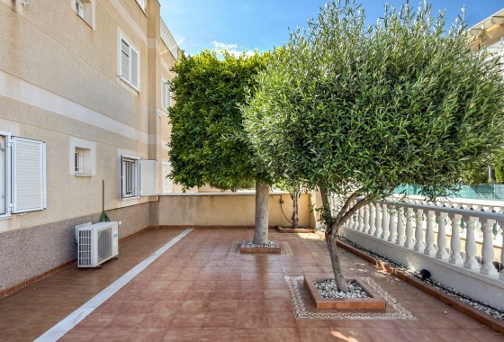 Segunda Mano - Apartamento - Orihuela Costa - Playa Flamenca