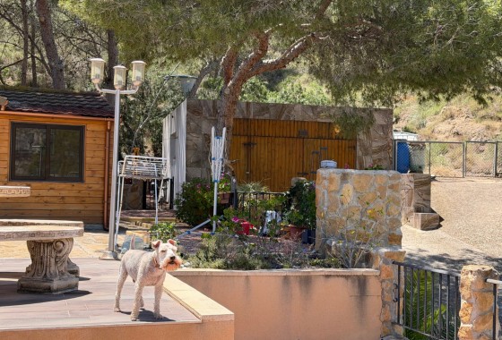 Resale - Detached Villa - Orihuela Costa - Torremendo