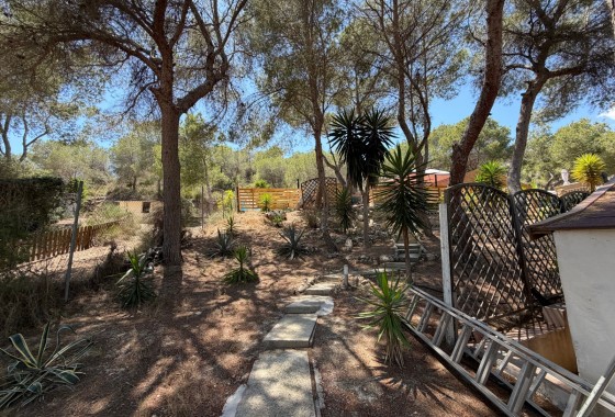 Resale - Detached Villa - Orihuela Costa - Torremendo