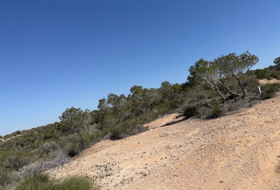 Revente - Land and Plots - San Fulgencio - La Marina