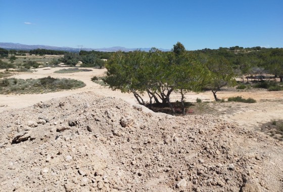 Revente - Land and Plots - San Fulgencio - La Marina