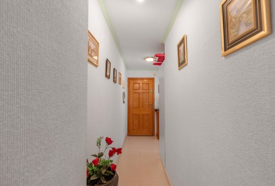 Segunda Mano - Apartamento - Torrevieja - Playa del cura