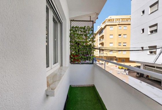 Segunda Mano - Apartamento - Torrevieja - Centro