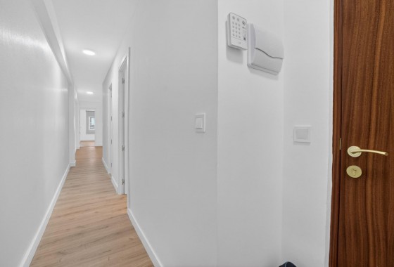 Segunda Mano - Apartamento - Torrevieja - Centro