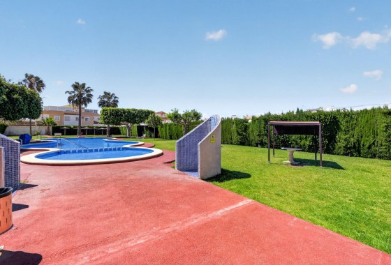 Segunda Mano - Apartamento - Torrevieja - El limonar