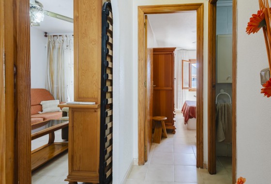 Segunda Mano - Apartamento - Torrevieja - Costa Blanca