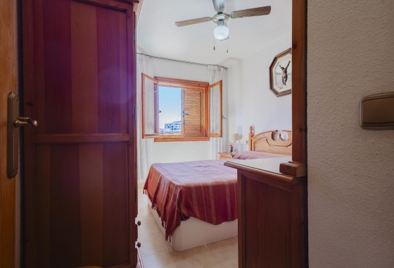Segunda Mano - Apartamento - Torrevieja - Costa Blanca