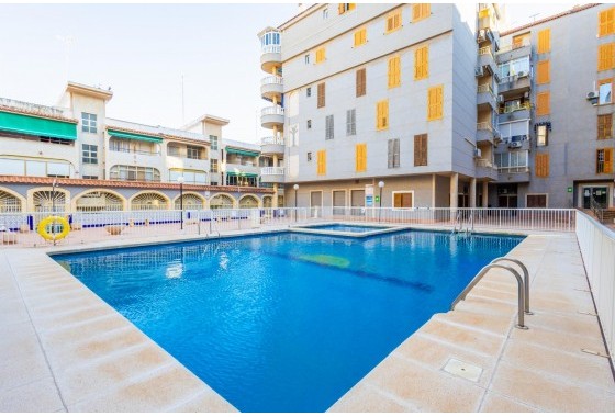 Segunda Mano - Apartamento - Torrevieja - Costa Blanca