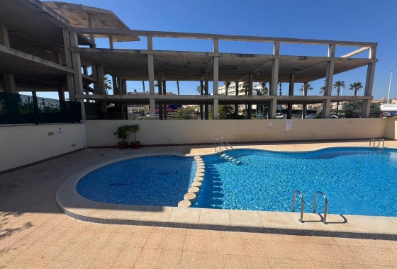 Segunda Mano - Apartamento - Torrevieja - Costa Blanca