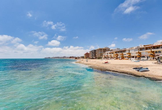 Segunda Mano - Apartamento - Torrevieja - Costa Blanca