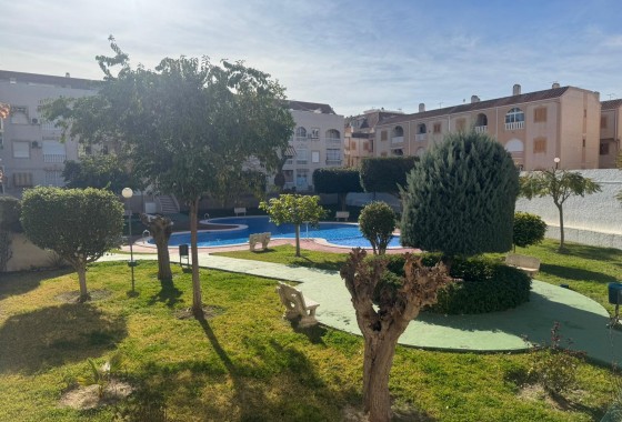 Segunda Mano - Apartamento - Torrevieja - Costa Blanca