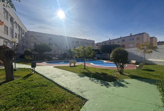 Segunda Mano - Apartamento - Torrevieja - Costa Blanca