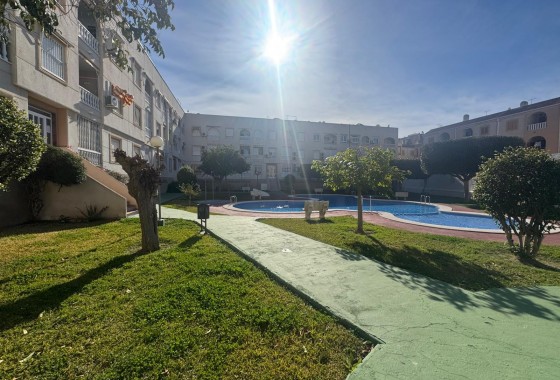 Segunda Mano - Apartamento - Torrevieja - Costa Blanca