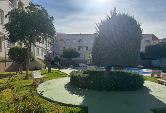 Segunda Mano - Apartamento - Torrevieja - Costa Blanca