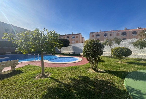 Segunda Mano - Apartamento - Torrevieja - Costa Blanca