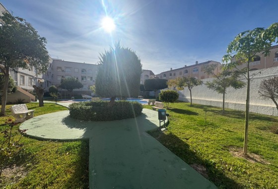 Segunda Mano - Apartamento - Torrevieja - Costa Blanca