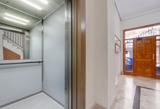 Segunda Mano - Apartamento - Torrevieja - Costa Blanca