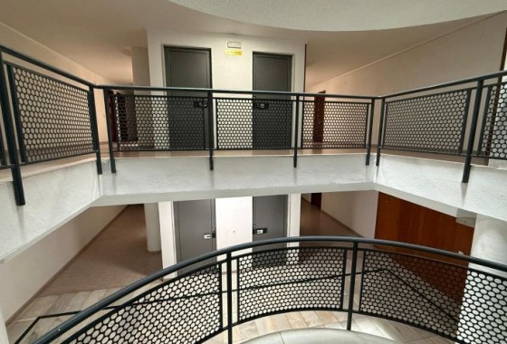 Segunda Mano - Apartamento - Torrevieja - Costa Blanca