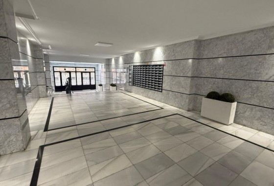 Segunda Mano - Apartamento - Torrevieja - Costa Blanca