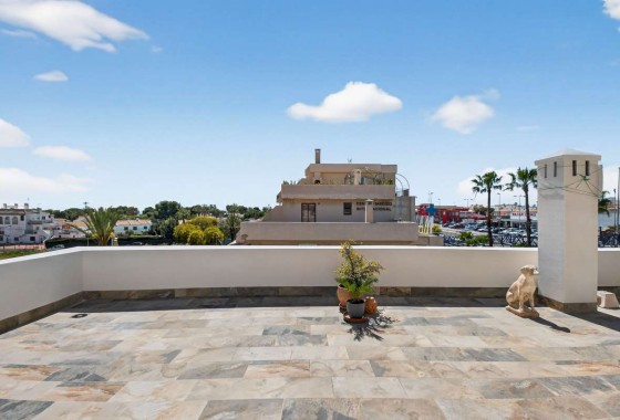 Segunda Mano - Apartamento - Punta Prima - Costa Blanca