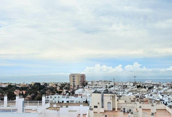 Segunda Mano - Apartamento - Torrevieja - Nueva Torrevieja