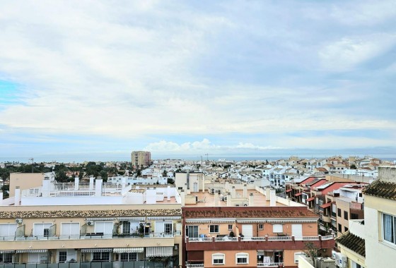 Segunda Mano - Apartamento - Torrevieja - Nueva Torrevieja