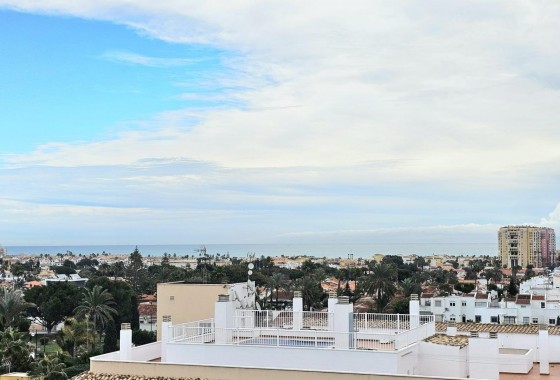 Segunda Mano - Apartamento - Torrevieja - Nueva Torrevieja