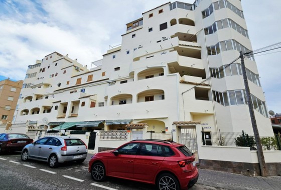 Segunda Mano - Apartamento - Torrevieja - Nueva Torrevieja