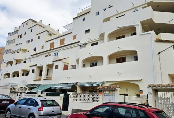 Segunda Mano - Apartamento - Torrevieja - Nueva Torrevieja