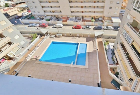 Segunda Mano - Apartamento - Torrevieja - Nueva Torrevieja