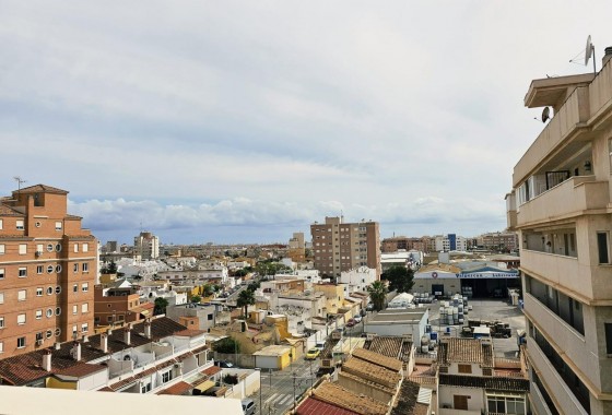 Segunda Mano - Apartamento - Torrevieja - Nueva Torrevieja