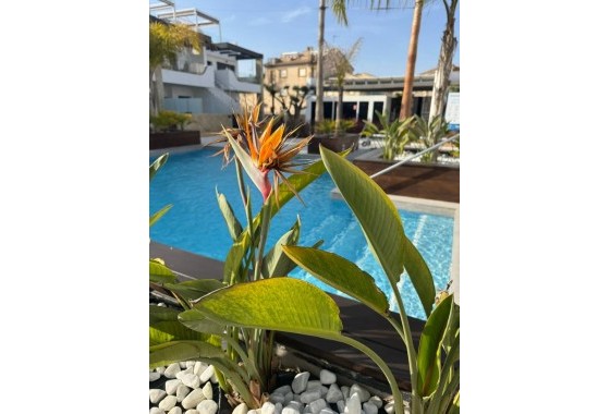 Revente - Appartement - Orihuela Costa - Rocio Del Mar