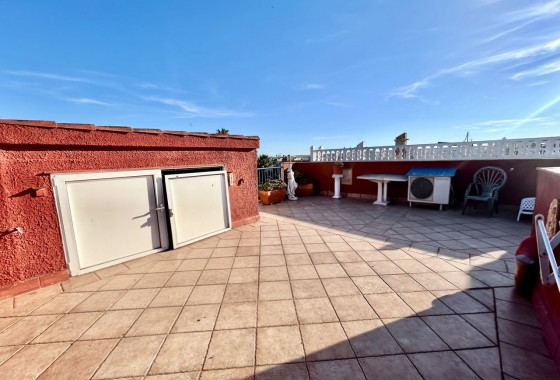 Segunda Mano - Apartamento - Torrevieja - Costa Blanca