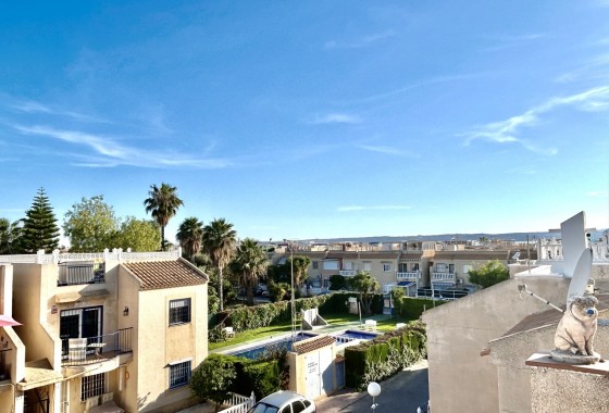 Segunda Mano - Apartamento - Torrevieja - Costa Blanca