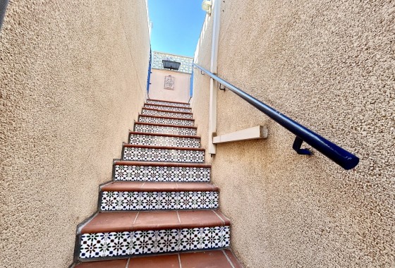 Segunda Mano - Apartamento - Torrevieja - Costa Blanca