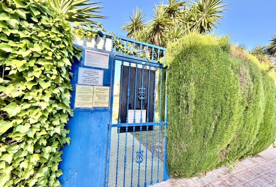 Segunda Mano - Apartamento - Torrevieja - Costa Blanca