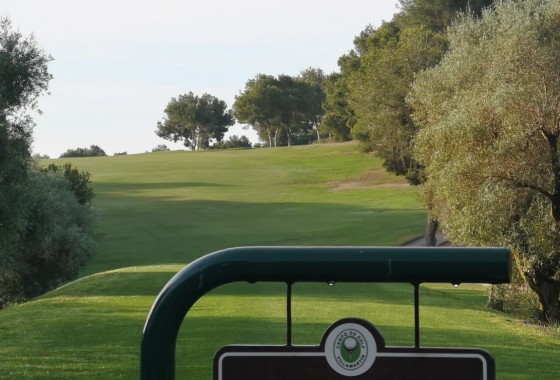Resale - Detached Villa - Villamartin - Costa Blanca