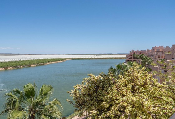 Segunda Mano - Apartamento - Alhama de Murcia - Condado de Alhama