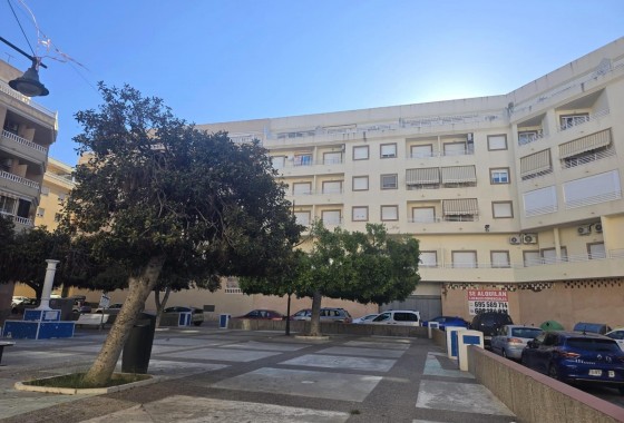 Segunda Mano - Apartamento - Torrevieja - Centro