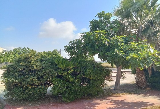 Segunda Mano - Bungalow - Torrevieja - Torretas