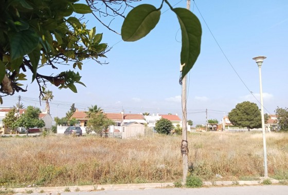 Segunda Mano - Bungalow - Torrevieja - Torretas