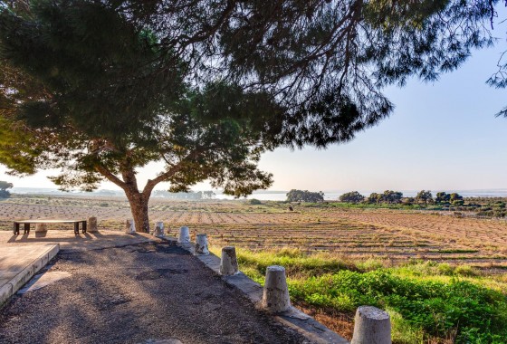 Segunda Mano - Bungalow - Torrevieja - La Siesta - El Salado - Torreta