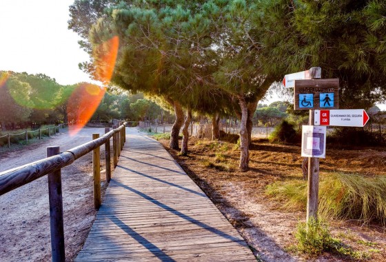 Segunda Mano - Bungalow - Torrevieja - La Siesta - El Salado - Torreta