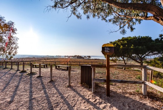 Segunda Mano - Bungalow - Torrevieja - La Siesta - El Salado - Torreta
