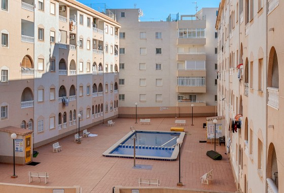 Segunda Mano - Apartamento - Torrevieja - Costa Blanca