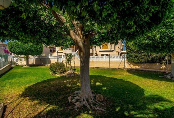 Revente - Maison mitoyenne - Torrevieja - Los altos
