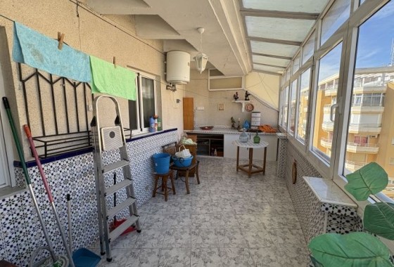 Segunda Mano - Apartamento - Torrevieja - Costa Blanca
